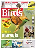 Cage & Aviary Birds